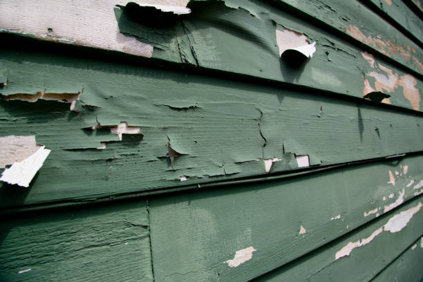 Best Hoarding Cleanup  in South Vacherie, LA